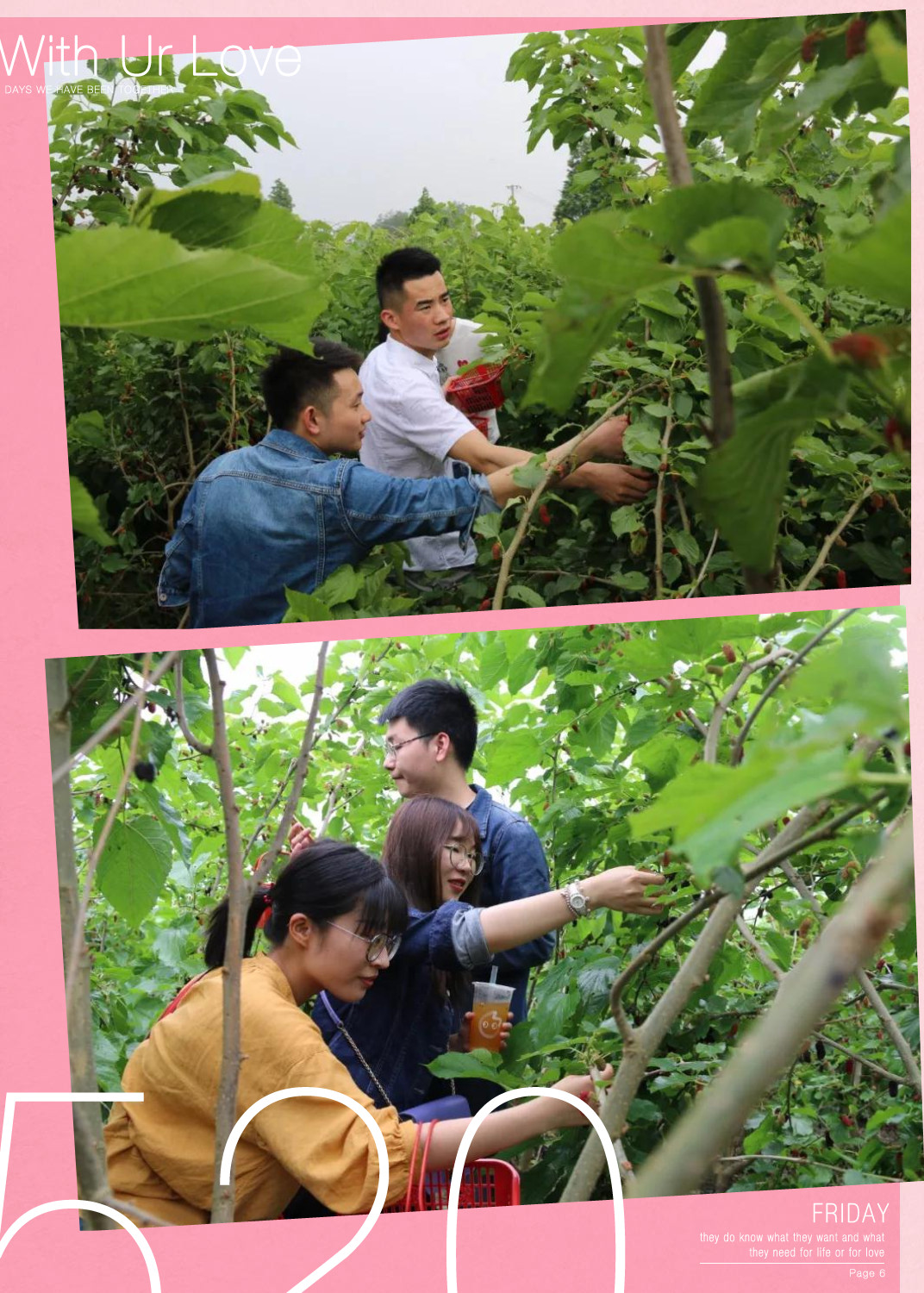 上海起帆电缆_员工活动1