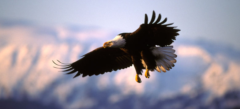 上海起帆电缆股份有限公司企业文化